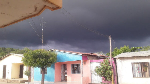 Casa en renta en La Central, Zamora, Michoacán – 3 recámaras, 205 m²