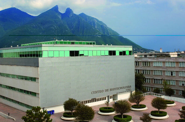 Foto ilustrativa: edificio (anuncio de ejemplo)