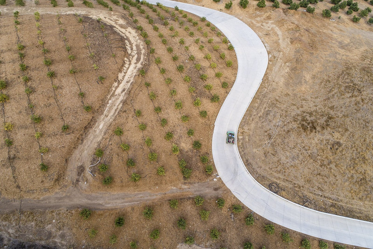 Foto ilustrativa: inmueble productivo (anuncio de ejemplo)