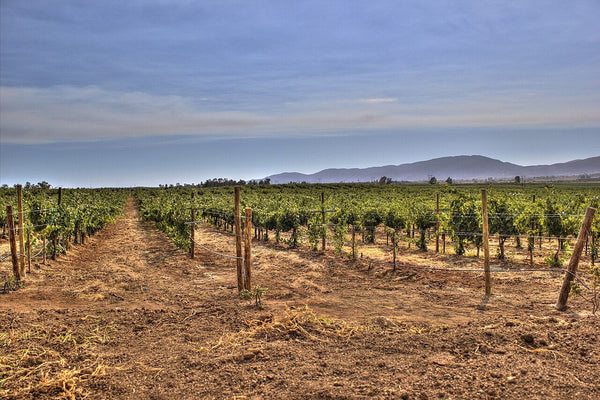 Inmueble productivo en venta en La Fortuna, La Paz, Baja California Sur – 16,200 m²