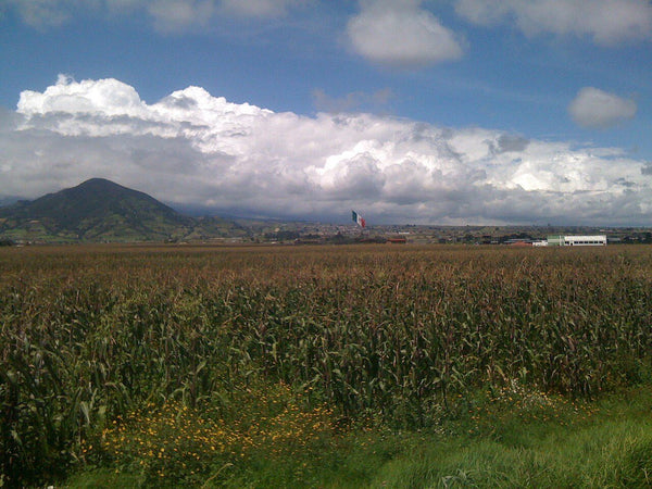 Inmueble productivo en venta en La Calera, Tlajomulco, Jalisco – 70,600 m²