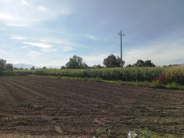 Inmueble productivo en venta en Las Huertas, Acolman, Estado de México – 6,900 m²