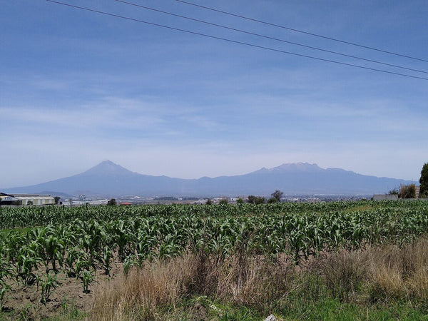 Inmueble productivo en renta en Santiago Caltengo, Tulancingo, Hidalgo – 16,800 m²