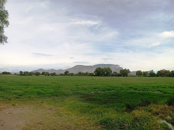 Inmueble productivo en venta en Jardines de Acacias, Zumpango, Estado de México – 271,900 m²