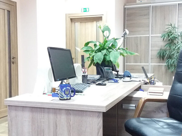 Oficina en venta en Santa Ana la Ladera, Ixtlahuaca, Estado de México – 179 m²