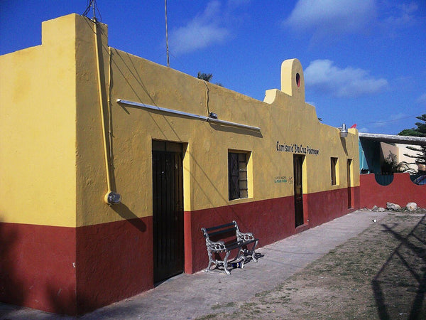 Rancho en renta en La Bocatoma, Reynosa, Tamaulipas – 5 recámaras, 4,500 m²