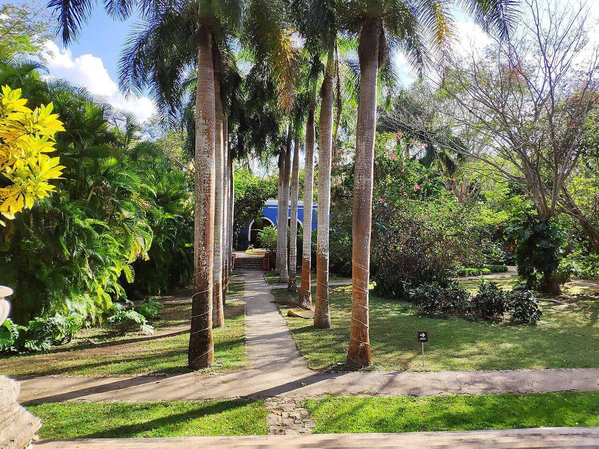 Foto ilustrativa: rancho/quinta (anuncio de ejemplo)