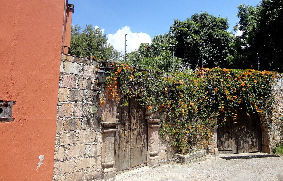 Foto ilustrativa: rancho/quinta (anuncio de ejemplo)