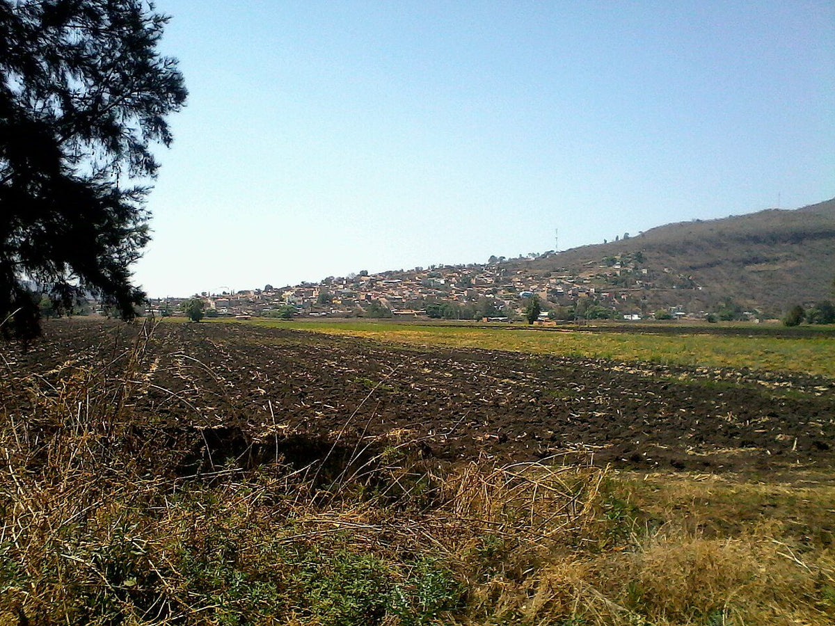Foto ilustrativa: terreno (anuncio de ejemplo)