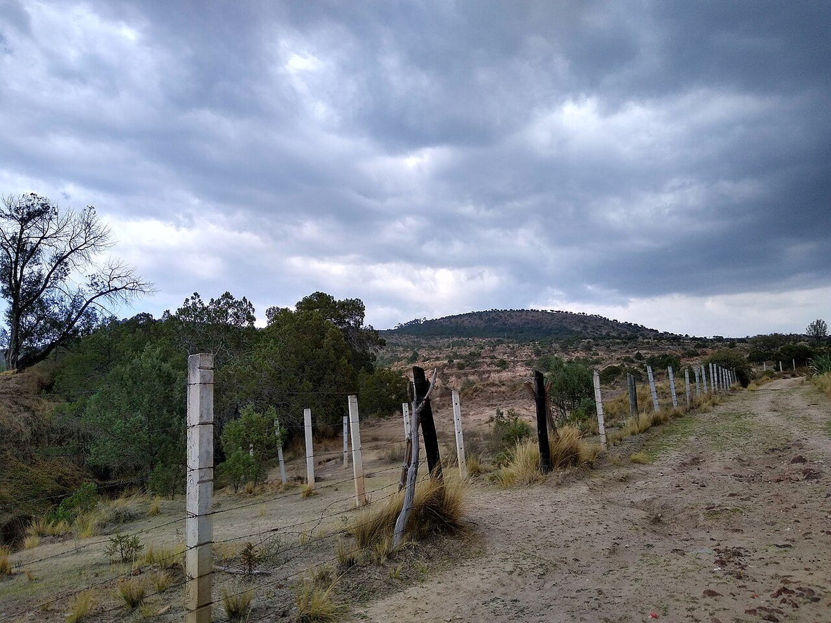 Foto ilustrativa: terreno (anuncio de ejemplo)