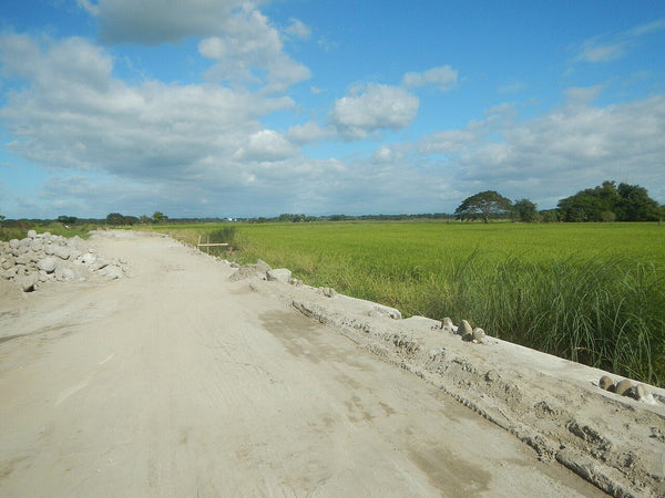 Terreno en renta en Miguel Hidalgo, Campeche, Campeche – 285 m²
