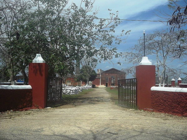Quinta en renta en Pescadores, Chimalhuacán, Estado de México – 4 recámaras, 750 m²