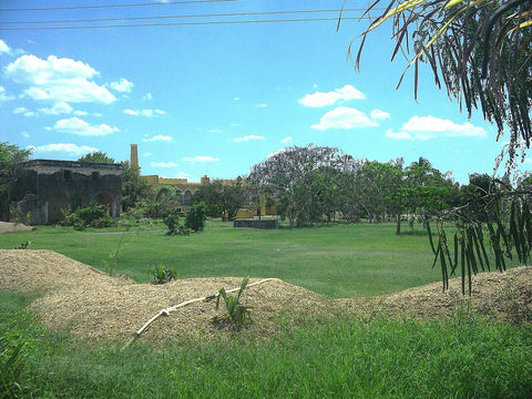 Foto ilustrativa: rancho/quinta (anuncio de ejemplo)