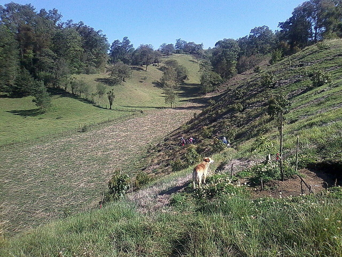 Foto ilustrativa: terreno (anuncio de ejemplo)